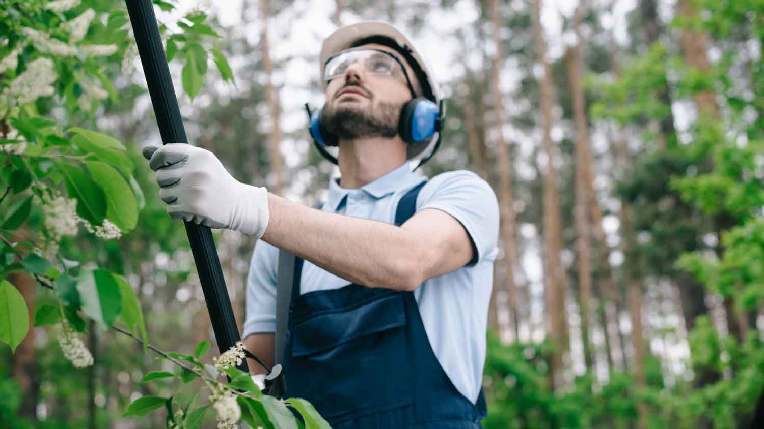 A person trimming a tree with a telescopic pole wearing protective gear