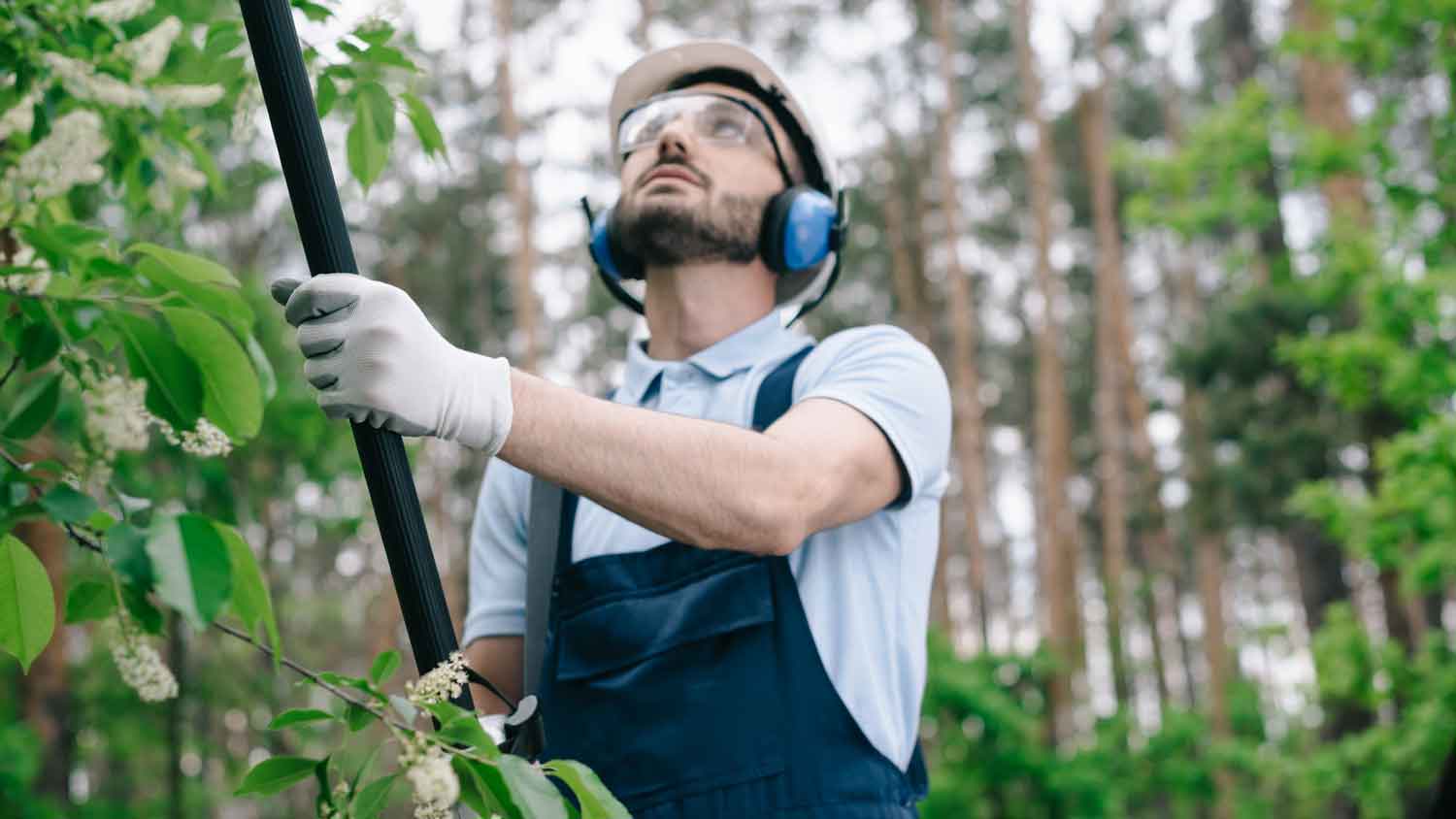 A person trimming a tree with a telescopic pole wearing protective gear