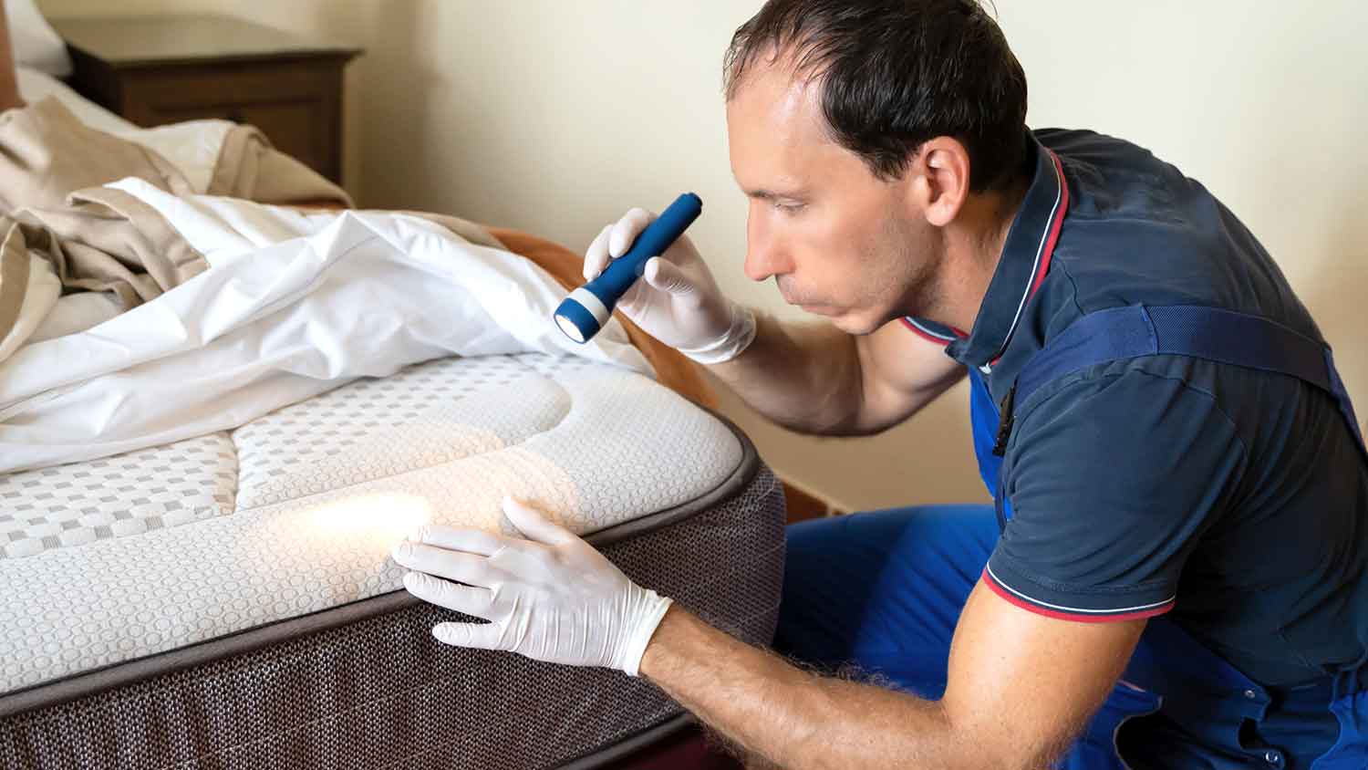 Pest control technician inspecting a mattress