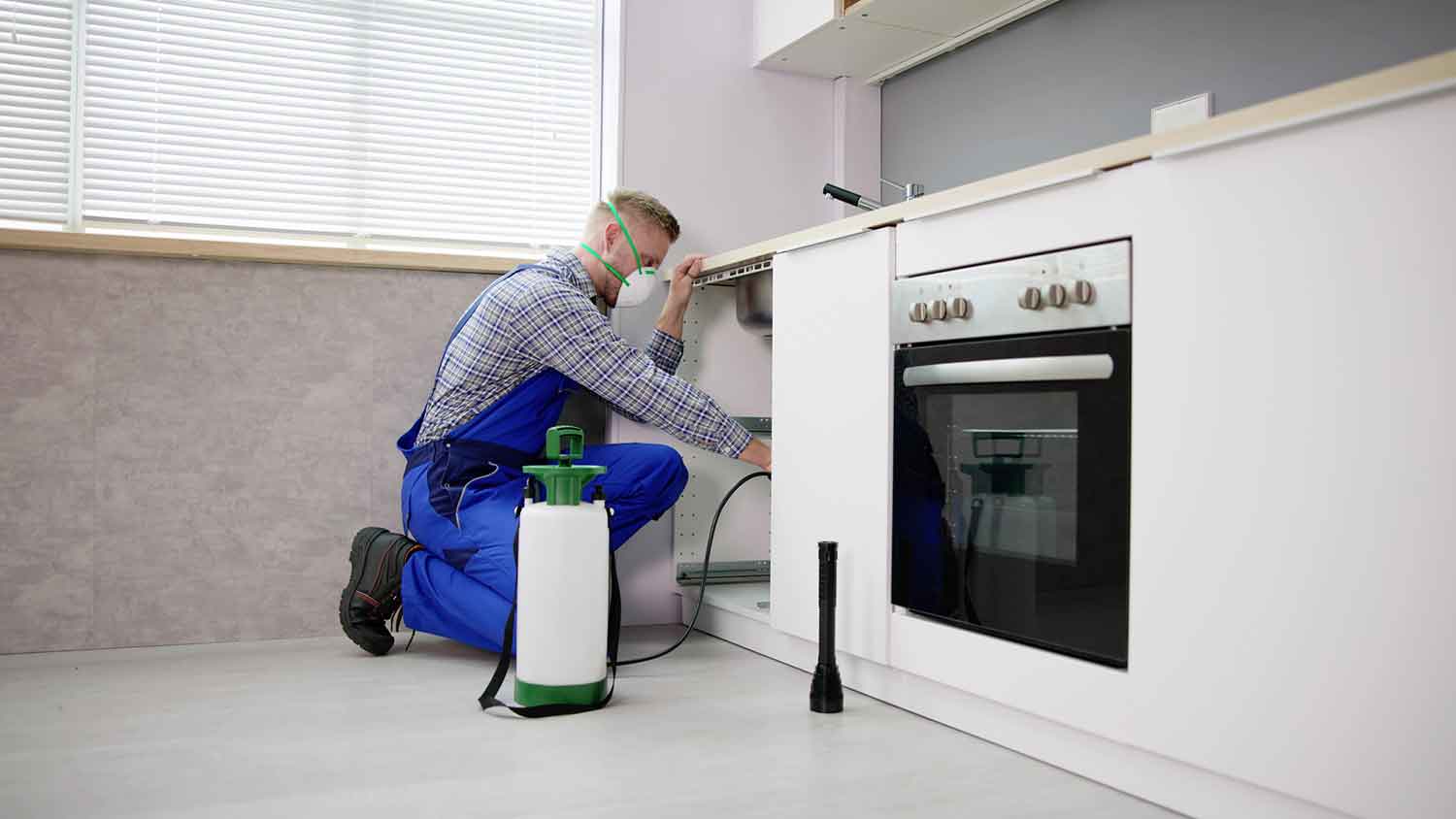 Professional pest control worker spraying the kitchen