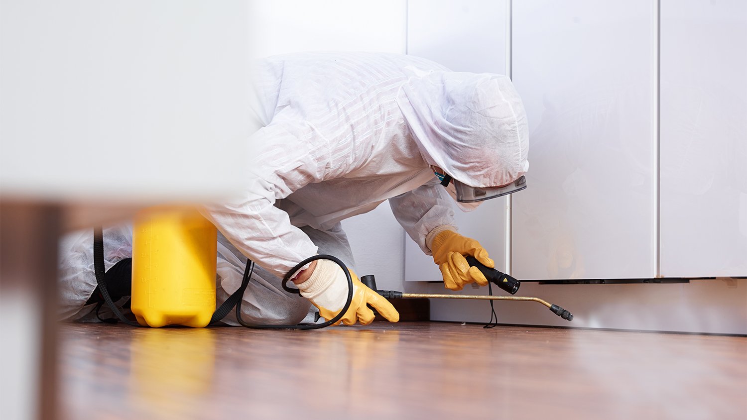 pest controller spraying kitchen