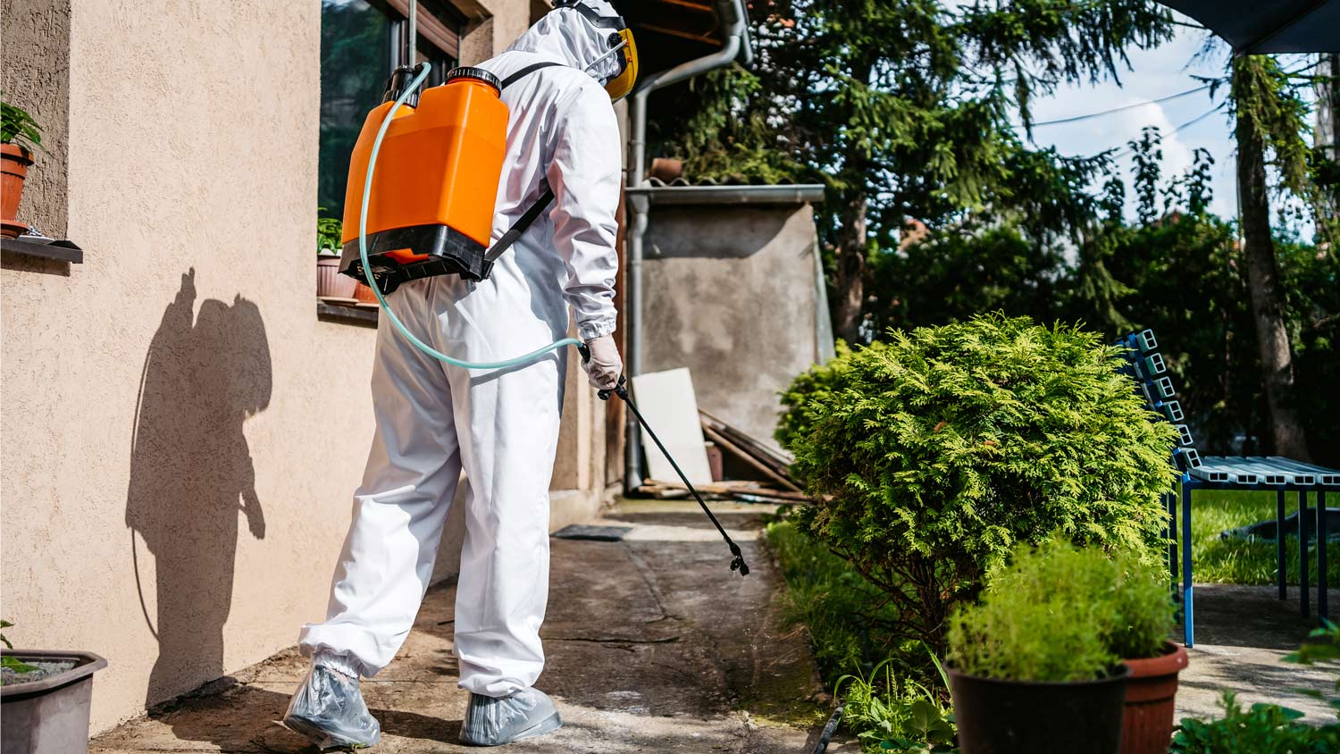 Man disinfecting backyard