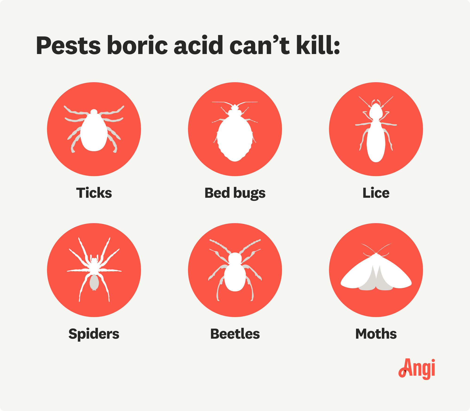 6 pests boric acid can’t kill compared, including ticks, lice and moths