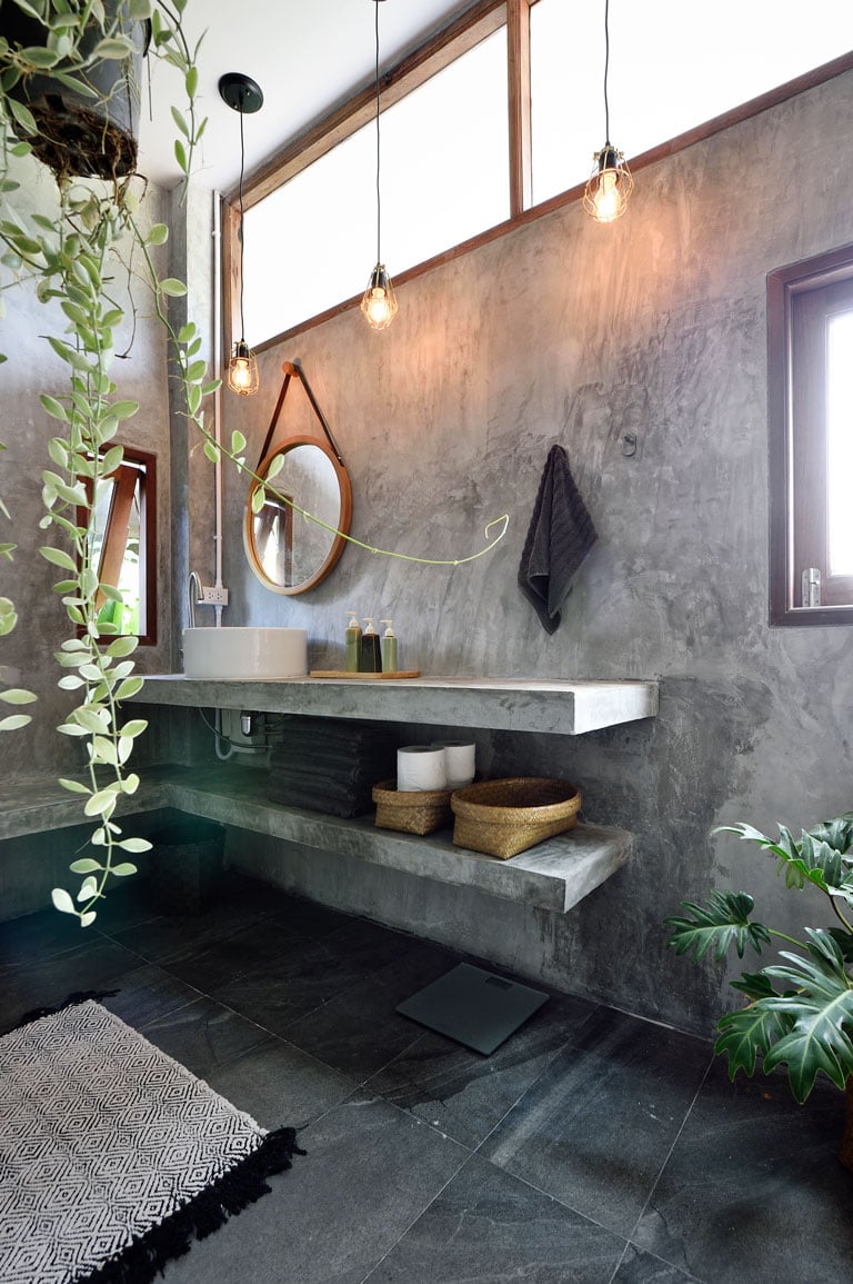 modern bathroom with hanging plant 