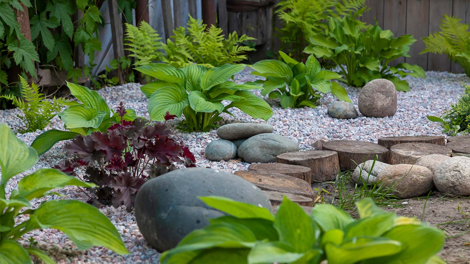 Plants and stones in rock garden