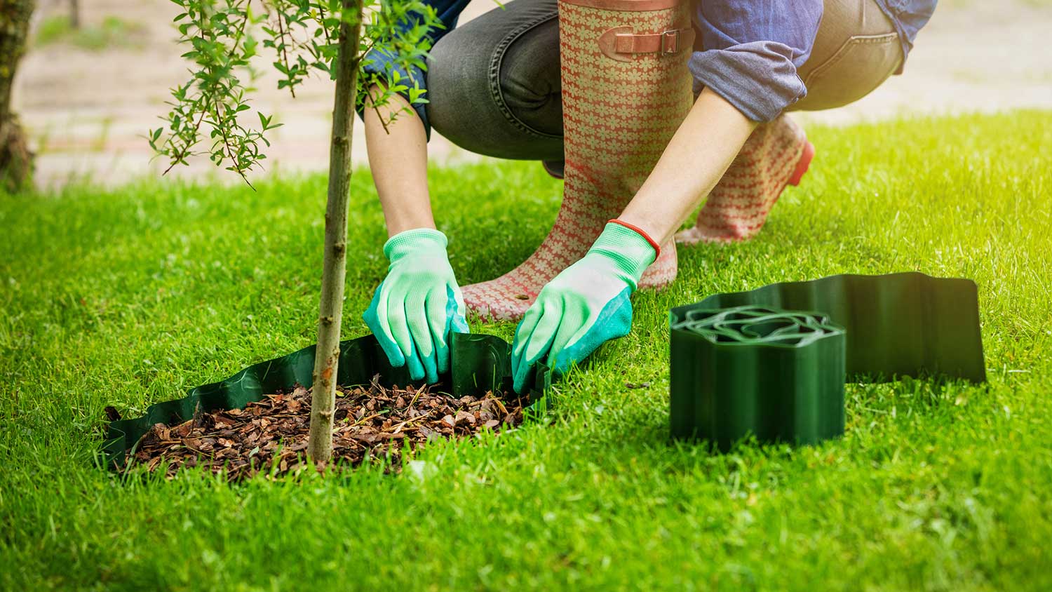 Woman laying plastic edging around a tree