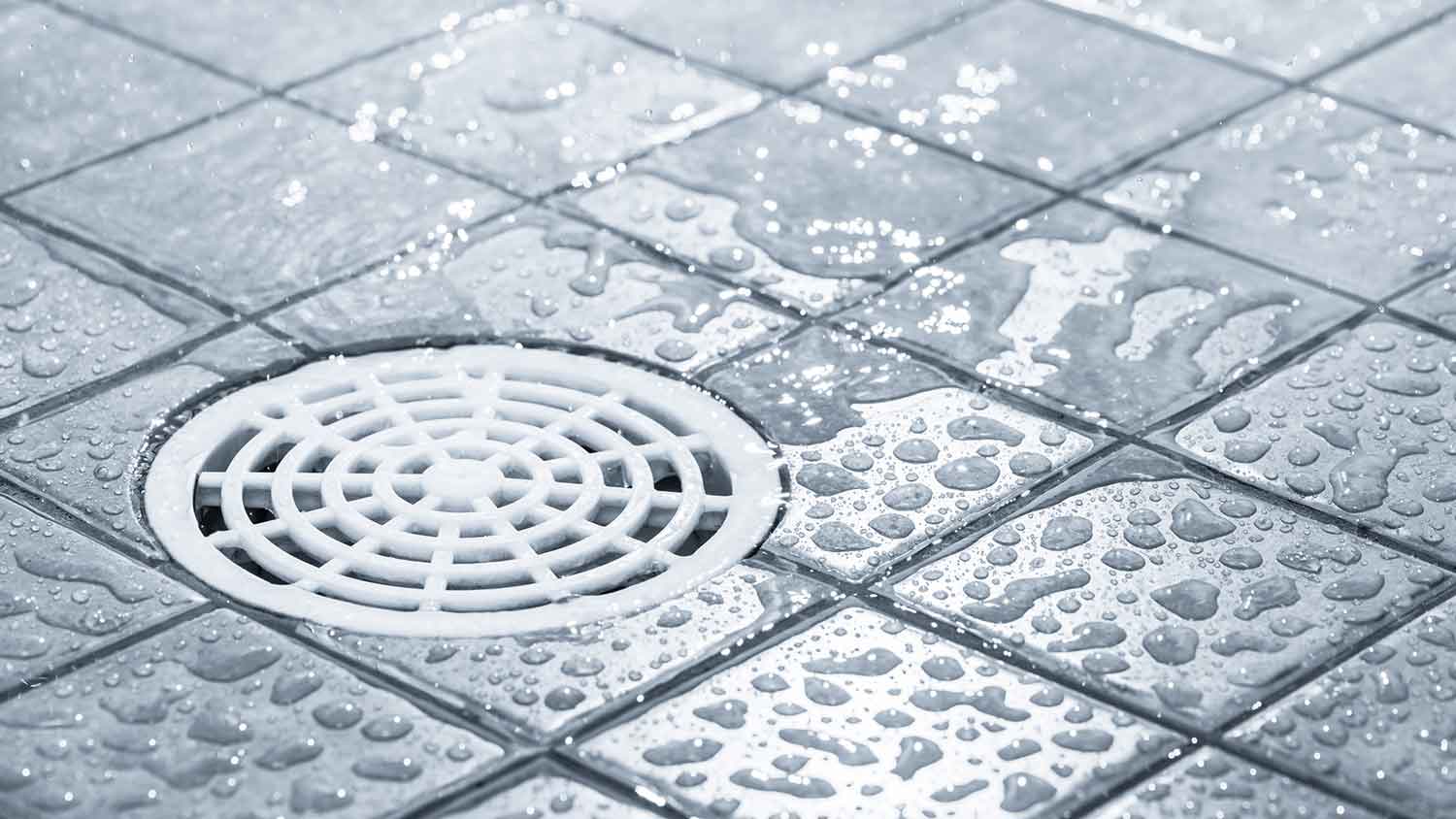 Closeup of a circular shower drain
