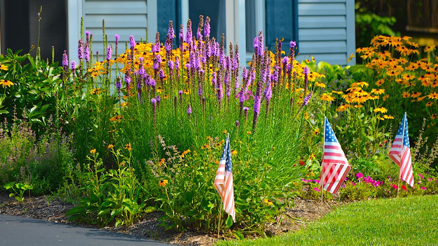 A pollinator garden at home