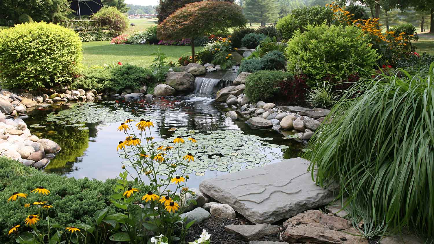 A pond in a landscaped garden