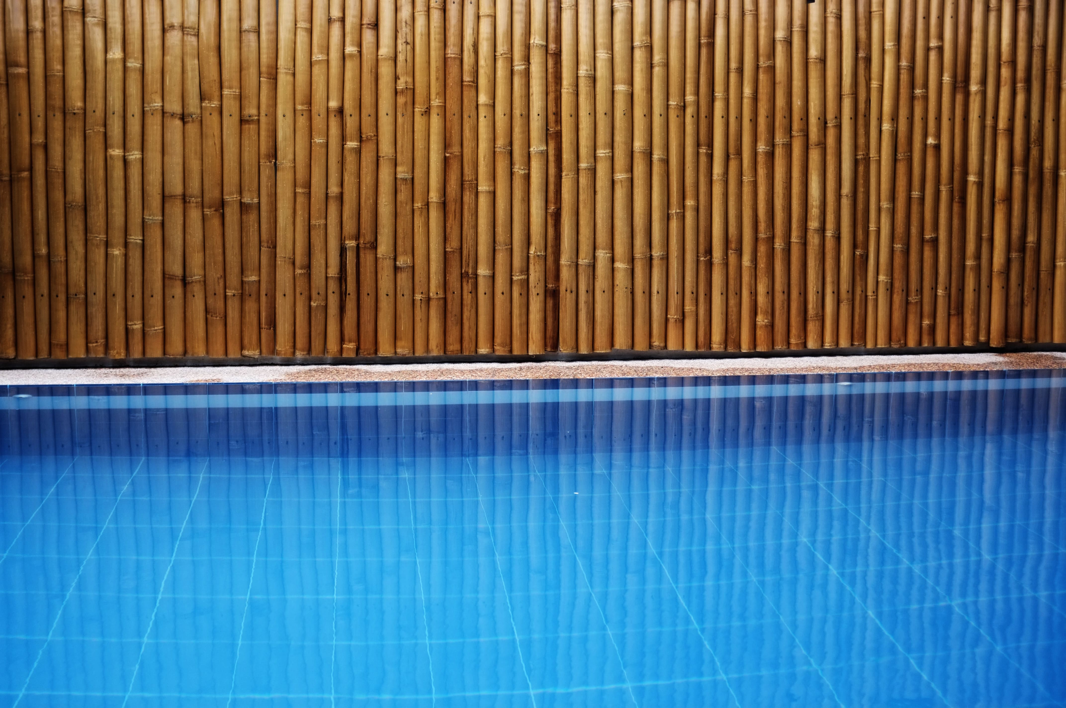 A closeup image of a pool in front of a bamboo fence