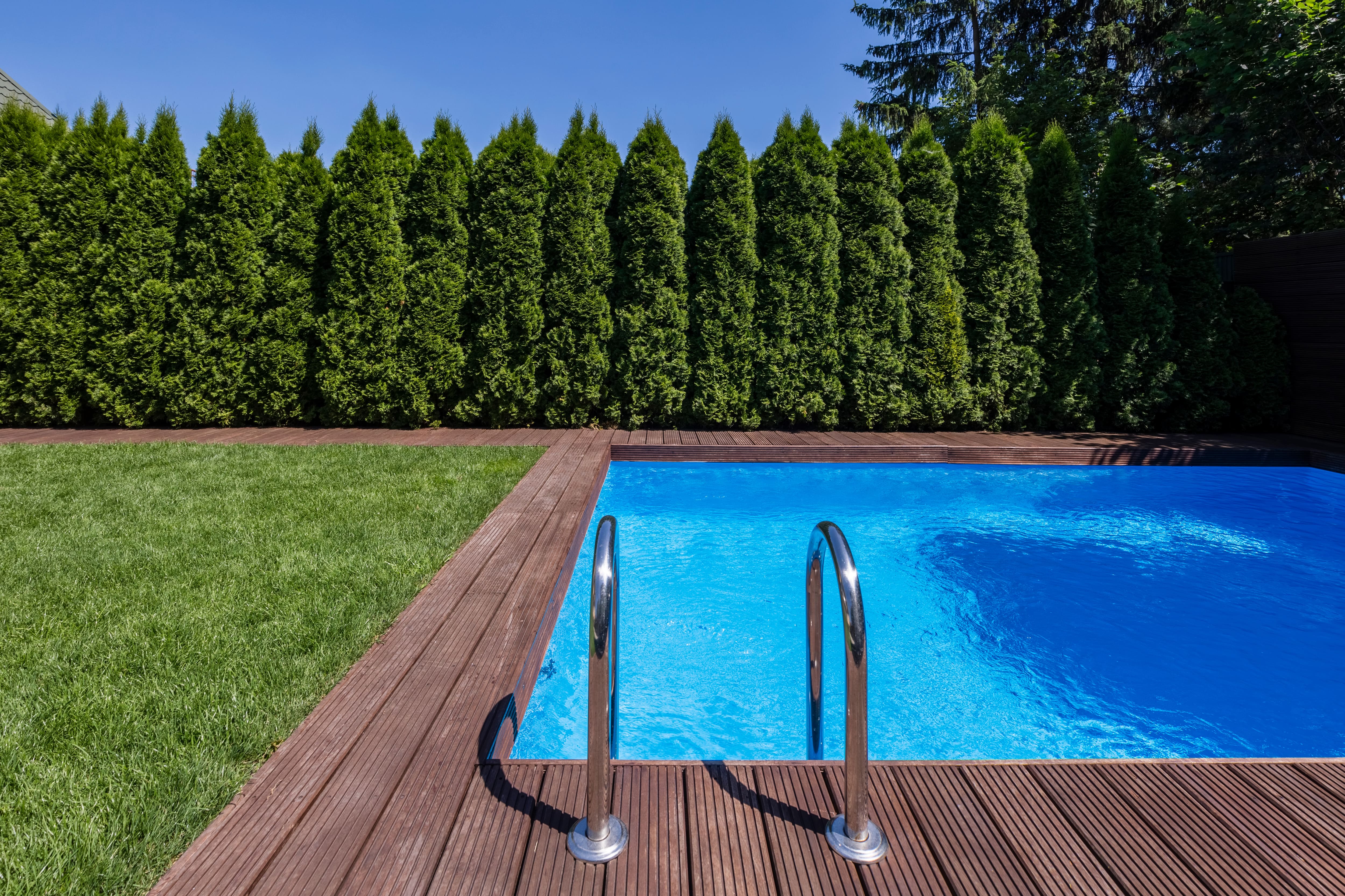 A backyard with an inground pool and a tree barrier behind it