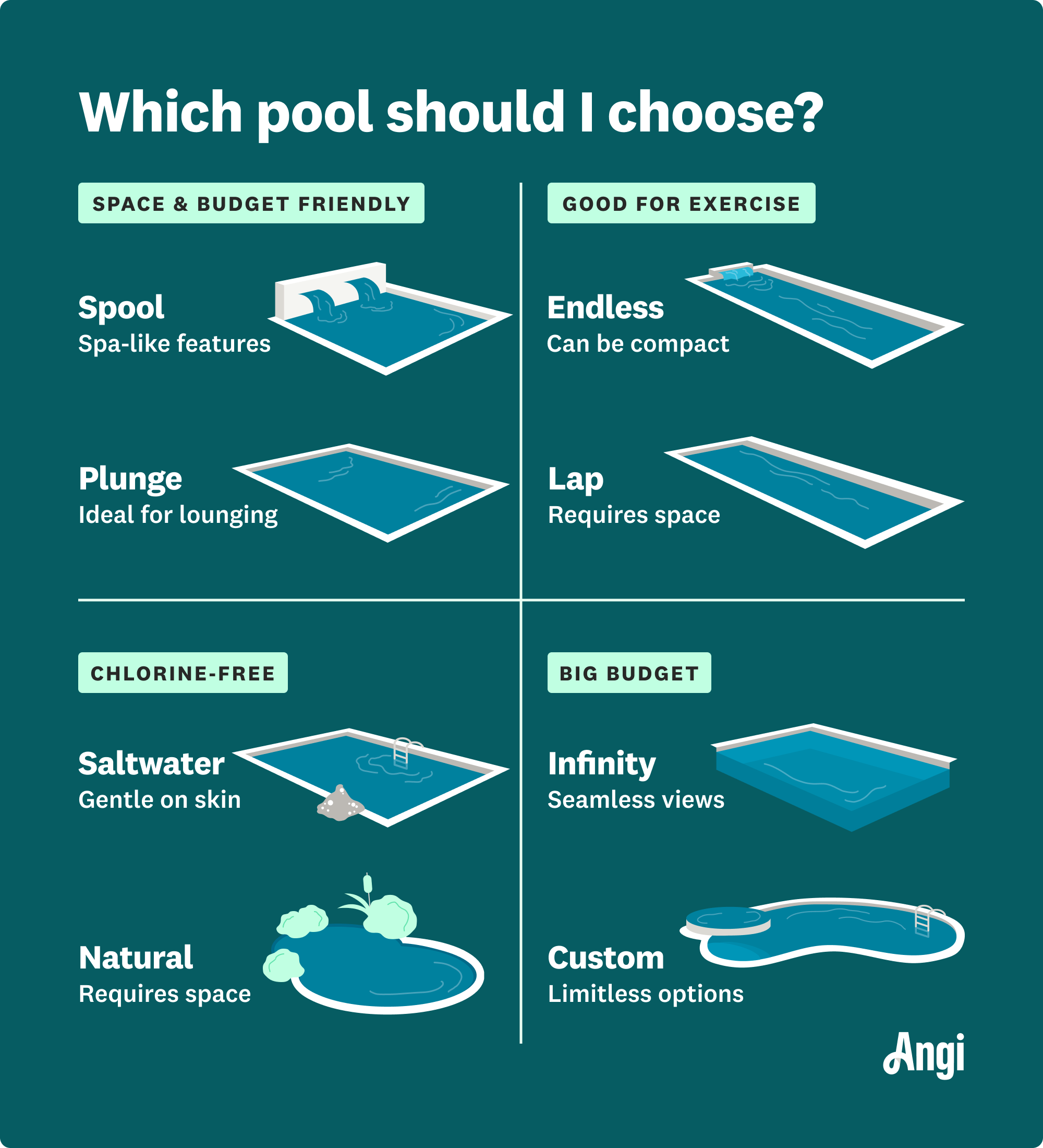 8 pool type options illustrated and compared, with plunge pools being ideal for lounging rather than swimming and natural pools being chlorine-free