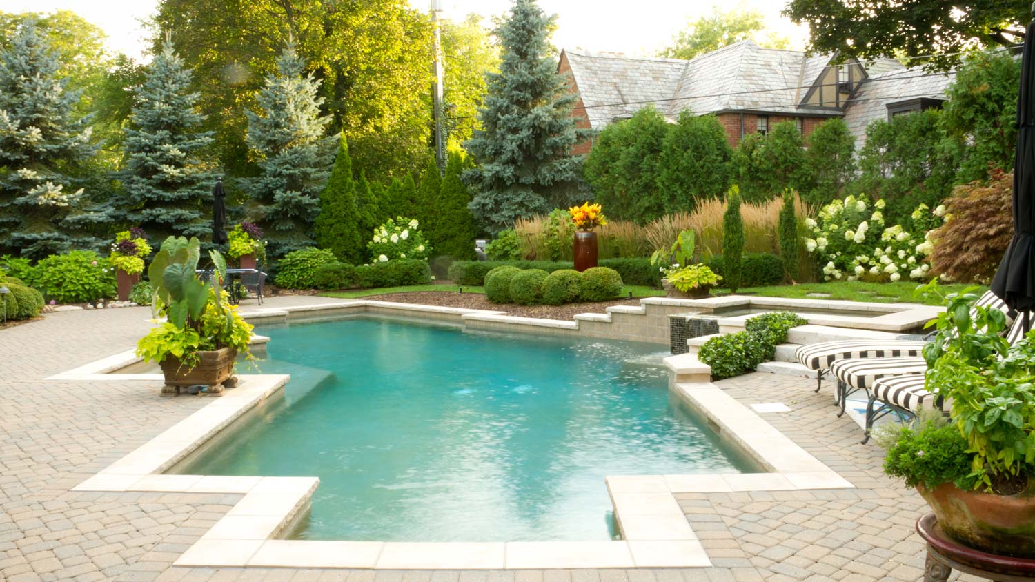 Pool surrounded by plants and landscape