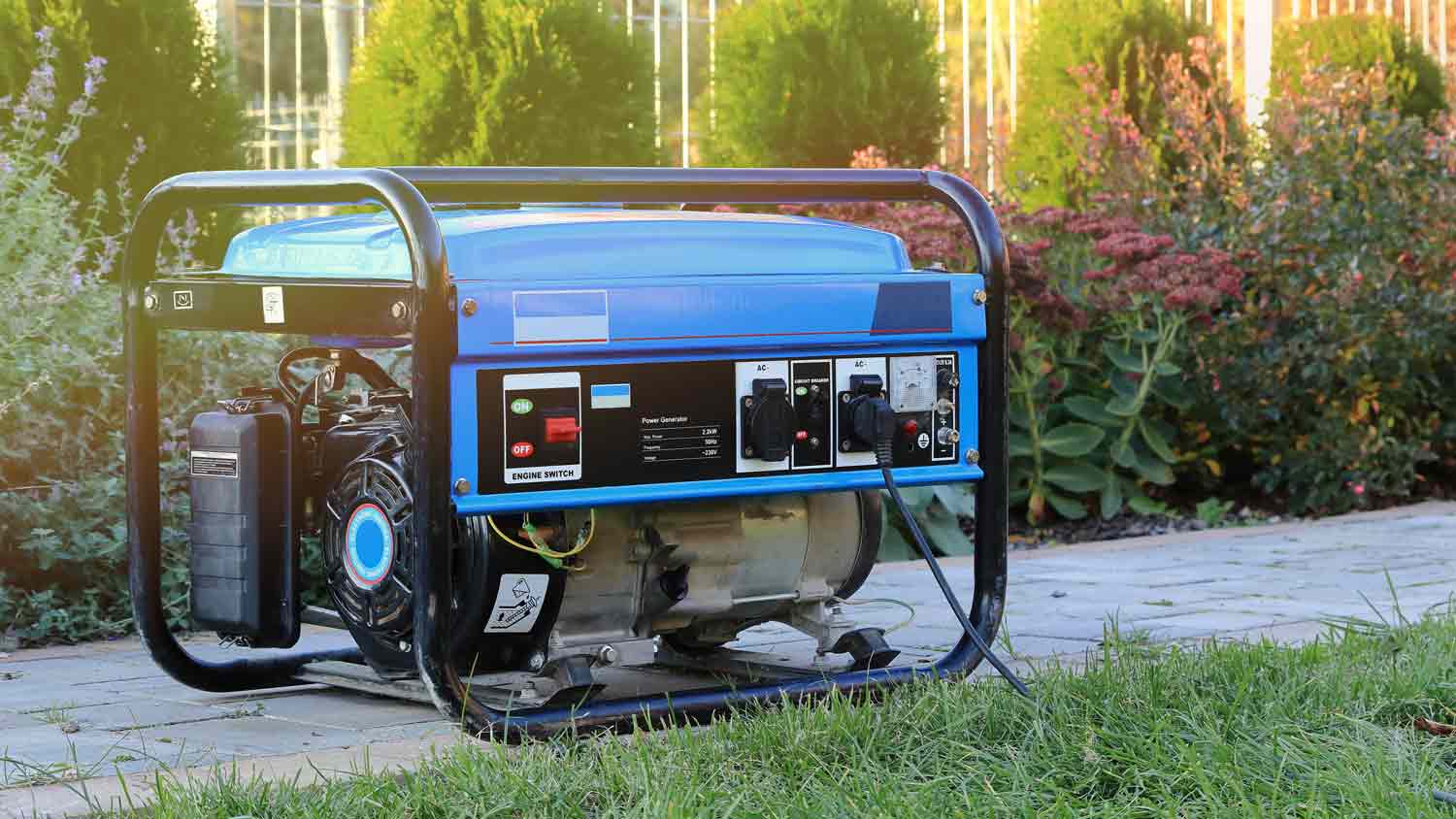 portable power generator 