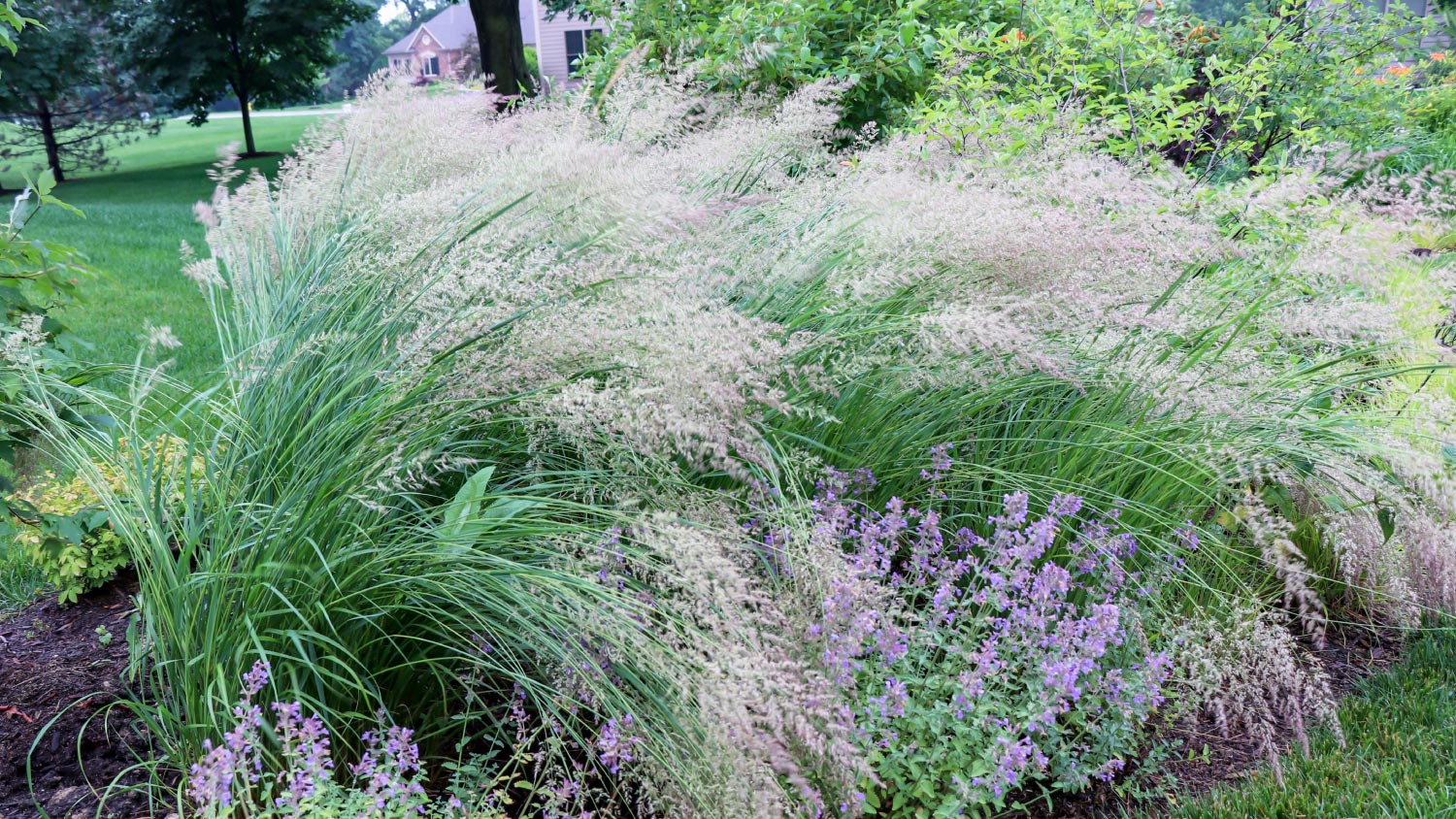 A prairie garden