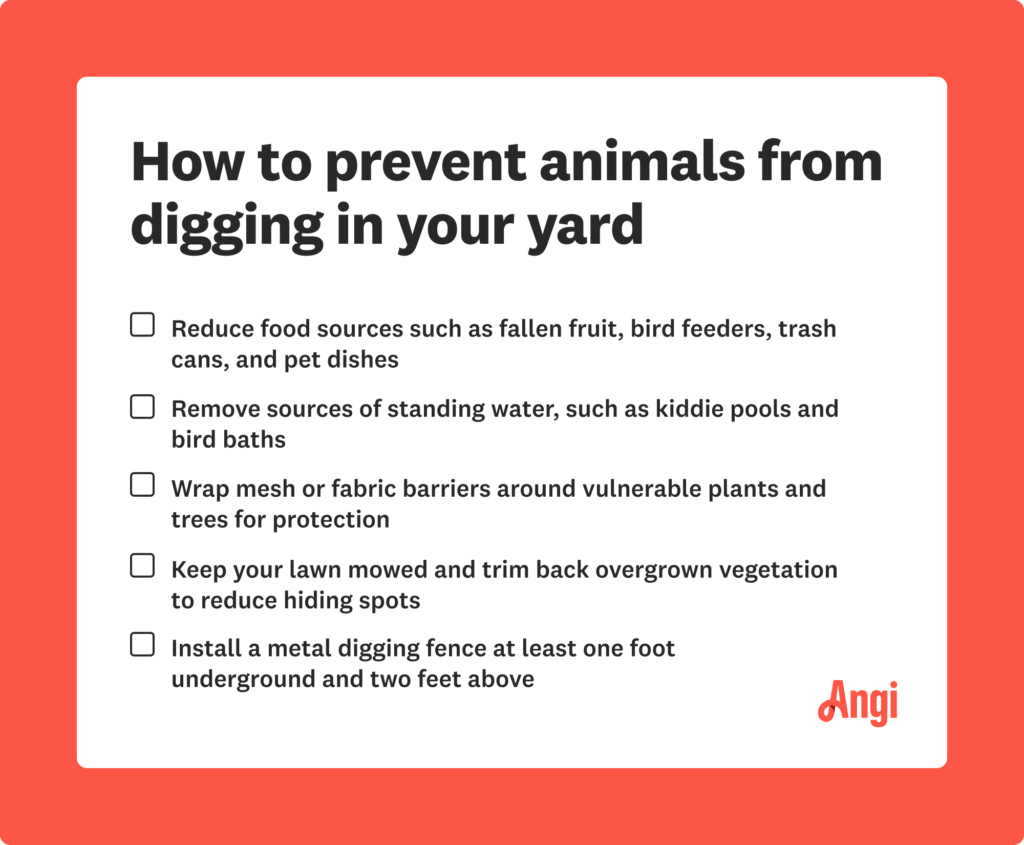 5 ways to prevent animals from digging in your yard, including removing sources of standing water