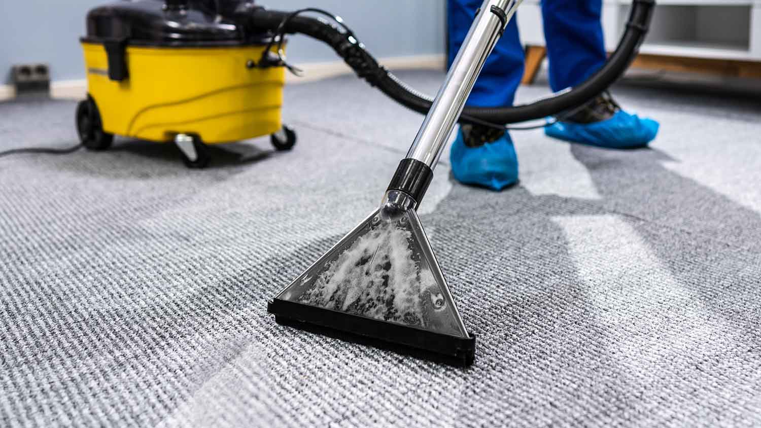 Worker cleaning the carpet in the room