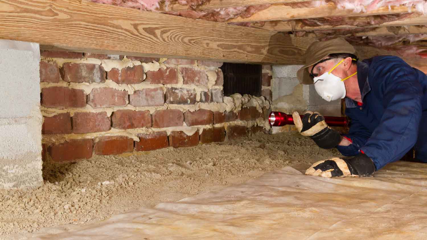 A professional examining for pests in crawl space