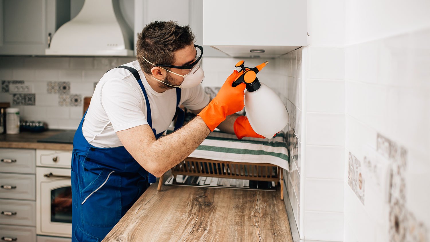 exterminator spraying kitchen