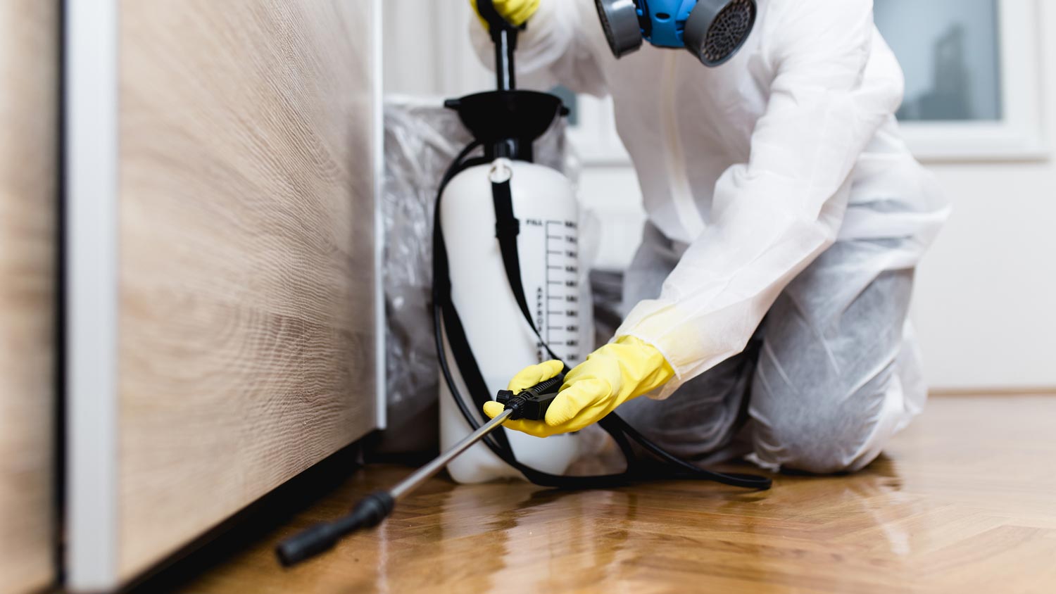 A professional exterminator spraying pesticide in the kitchen