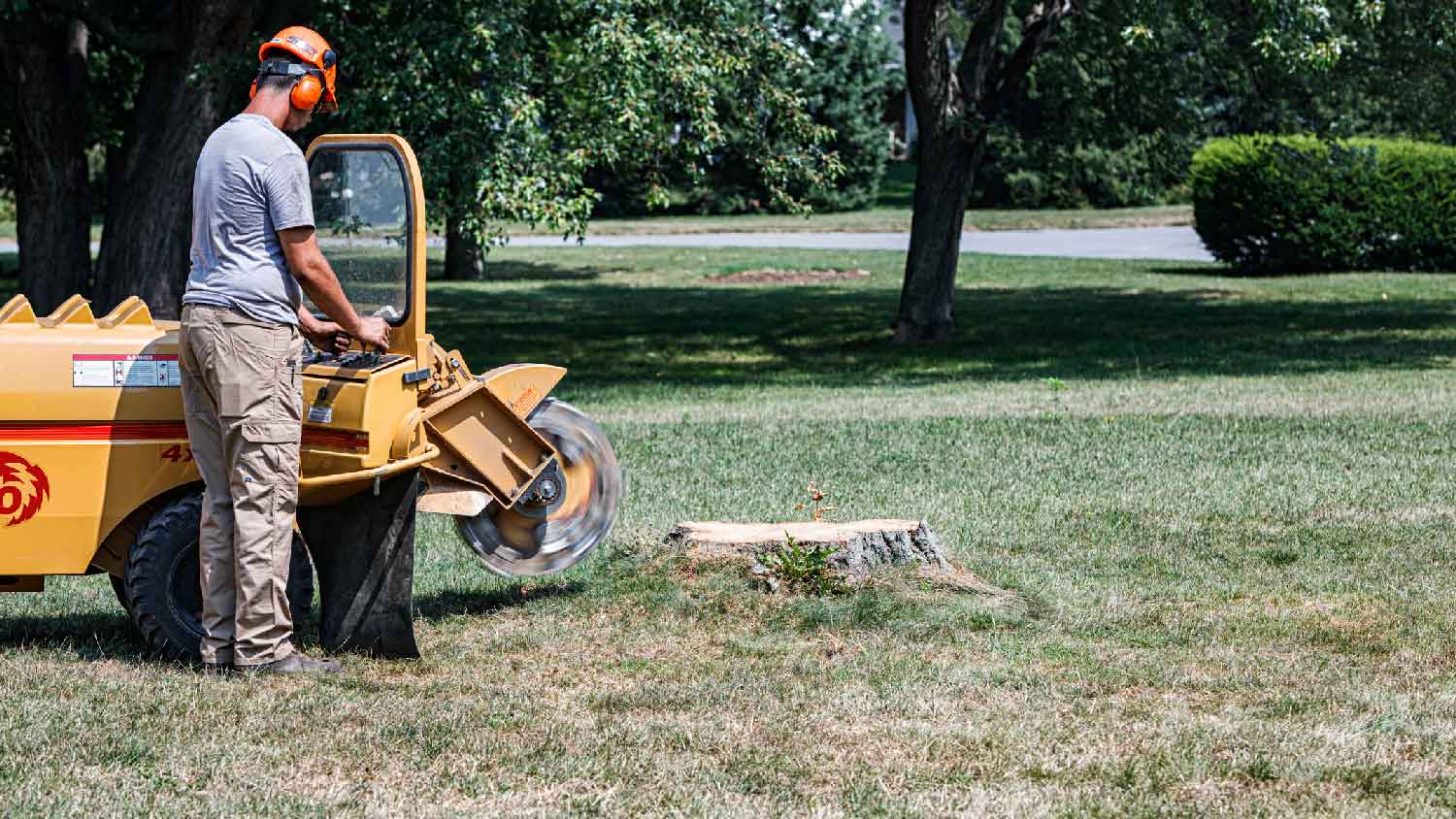 A professional grinding a tree stump