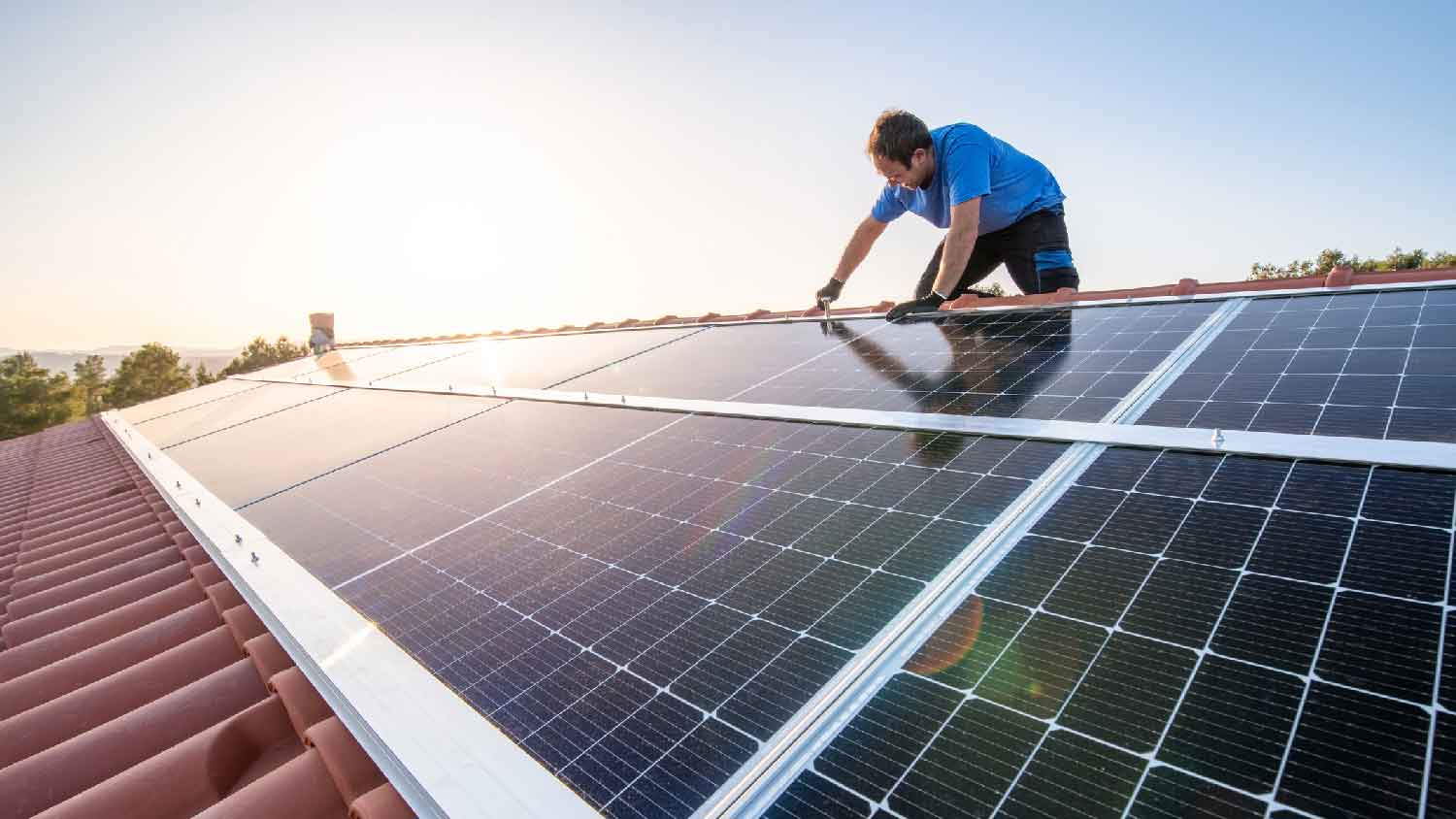 A professional inspecting solar panels