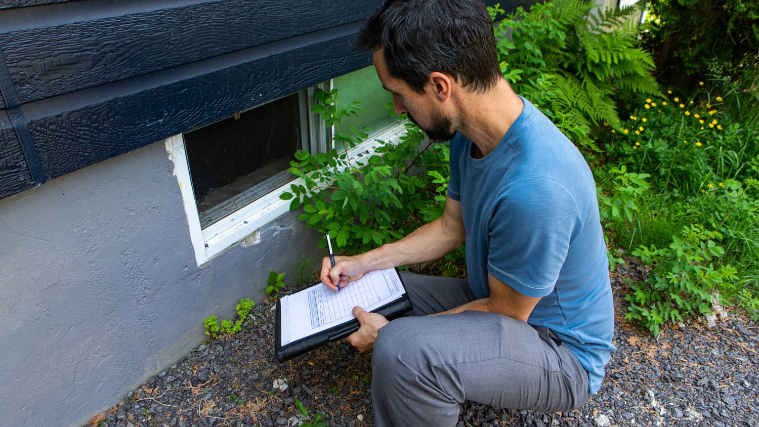 A professional inspecting a window for termites