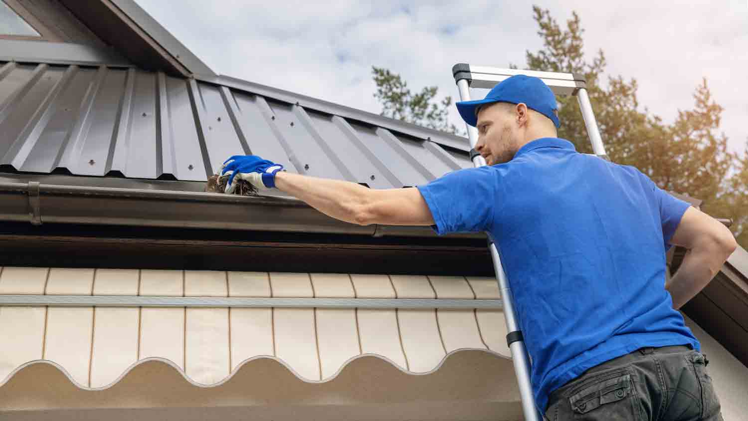 professional on ladder cleaning gutters