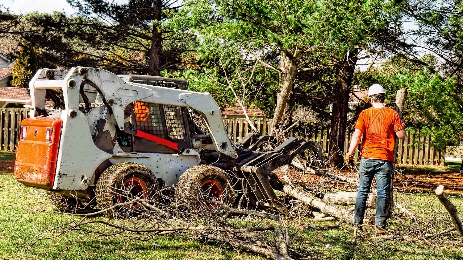 A professional removing a fallen tree from a garden