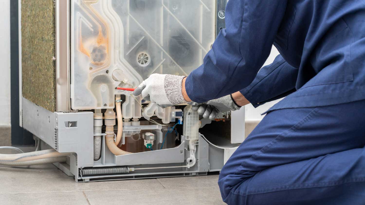 A professional repairing a dishwasher