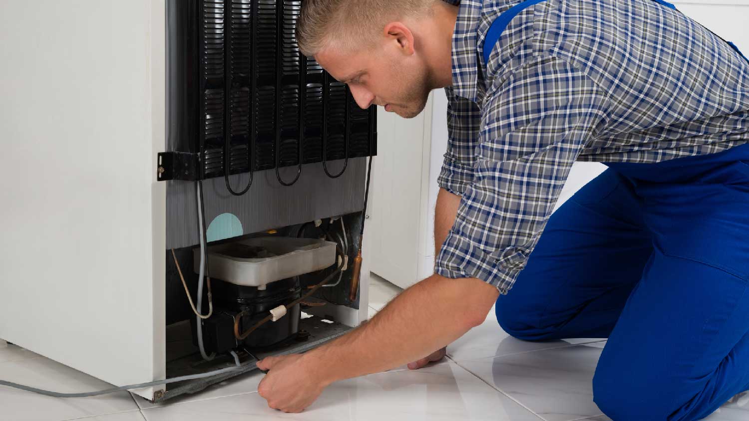 A professional repairing a freezer