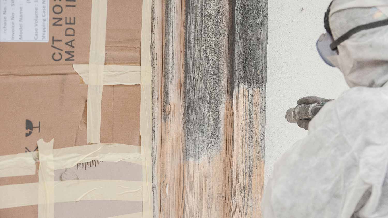 A professional sandblasting a wooden door