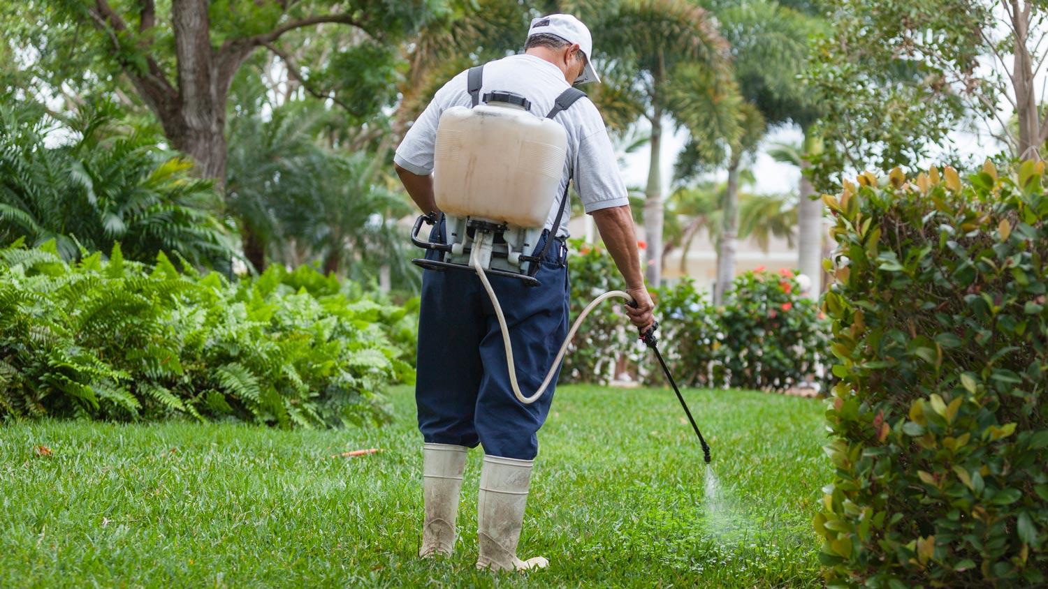 A professional spraying the lawn