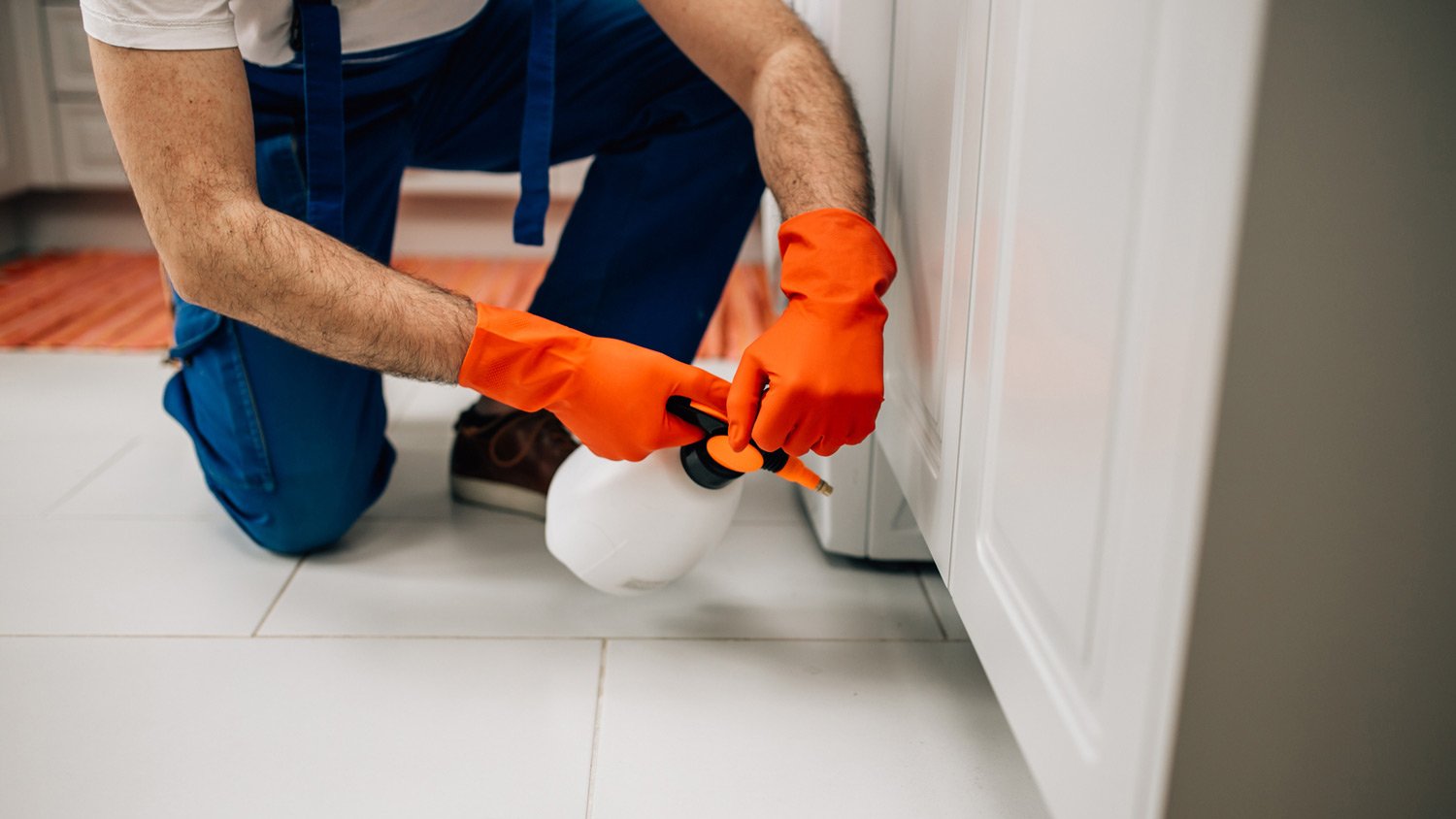 A professional spraying pesticide in a kitchen