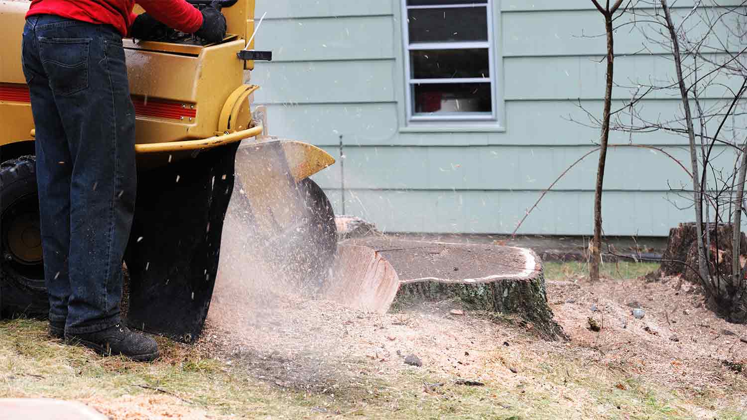 professional using stomp grinding