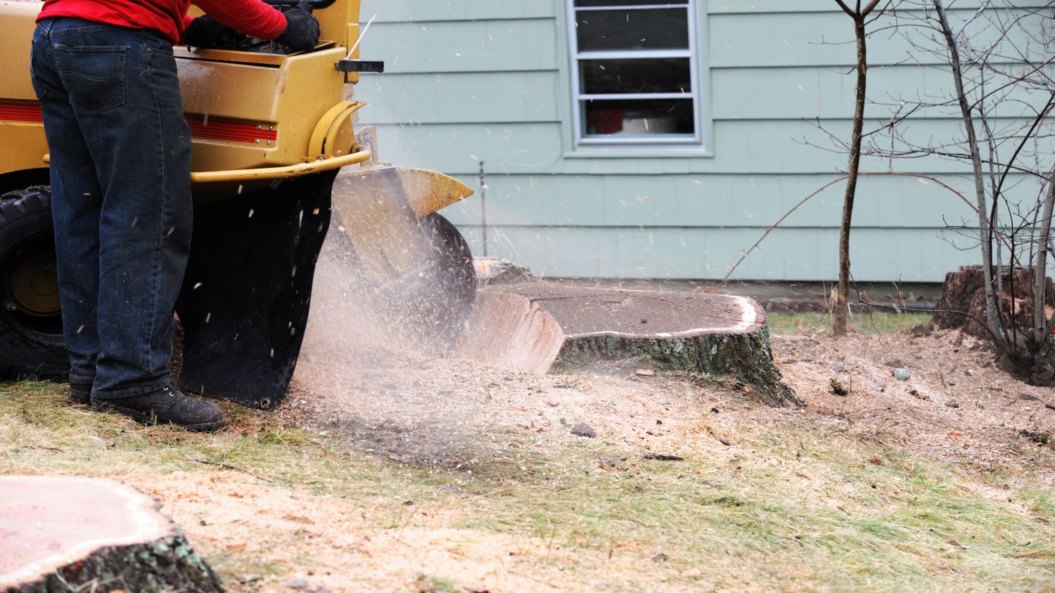 professional stump grinding