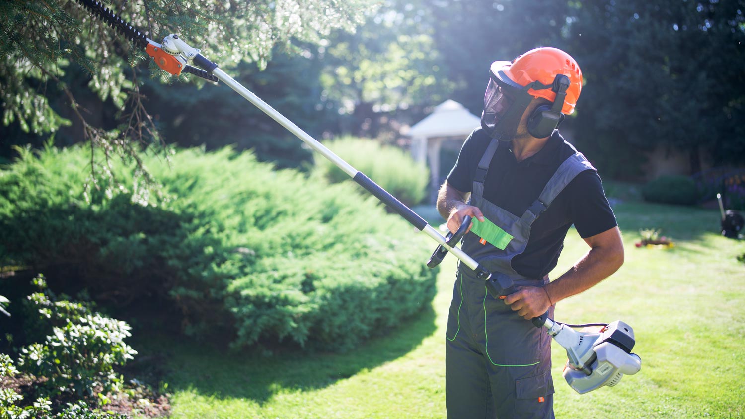 A professional trimming a tree in a garden