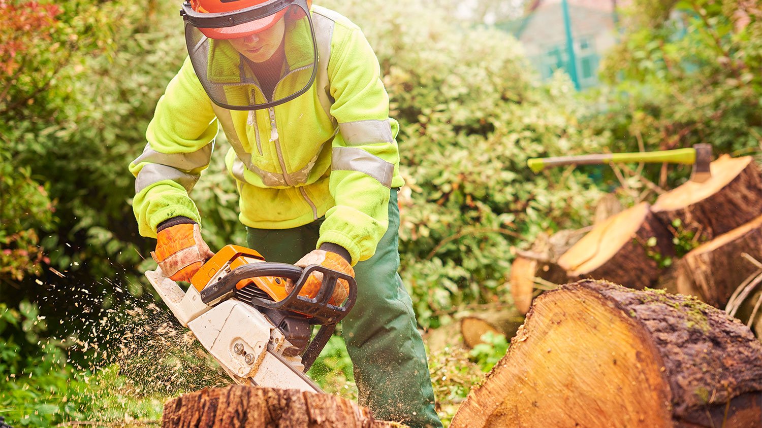 woman cutting down tree