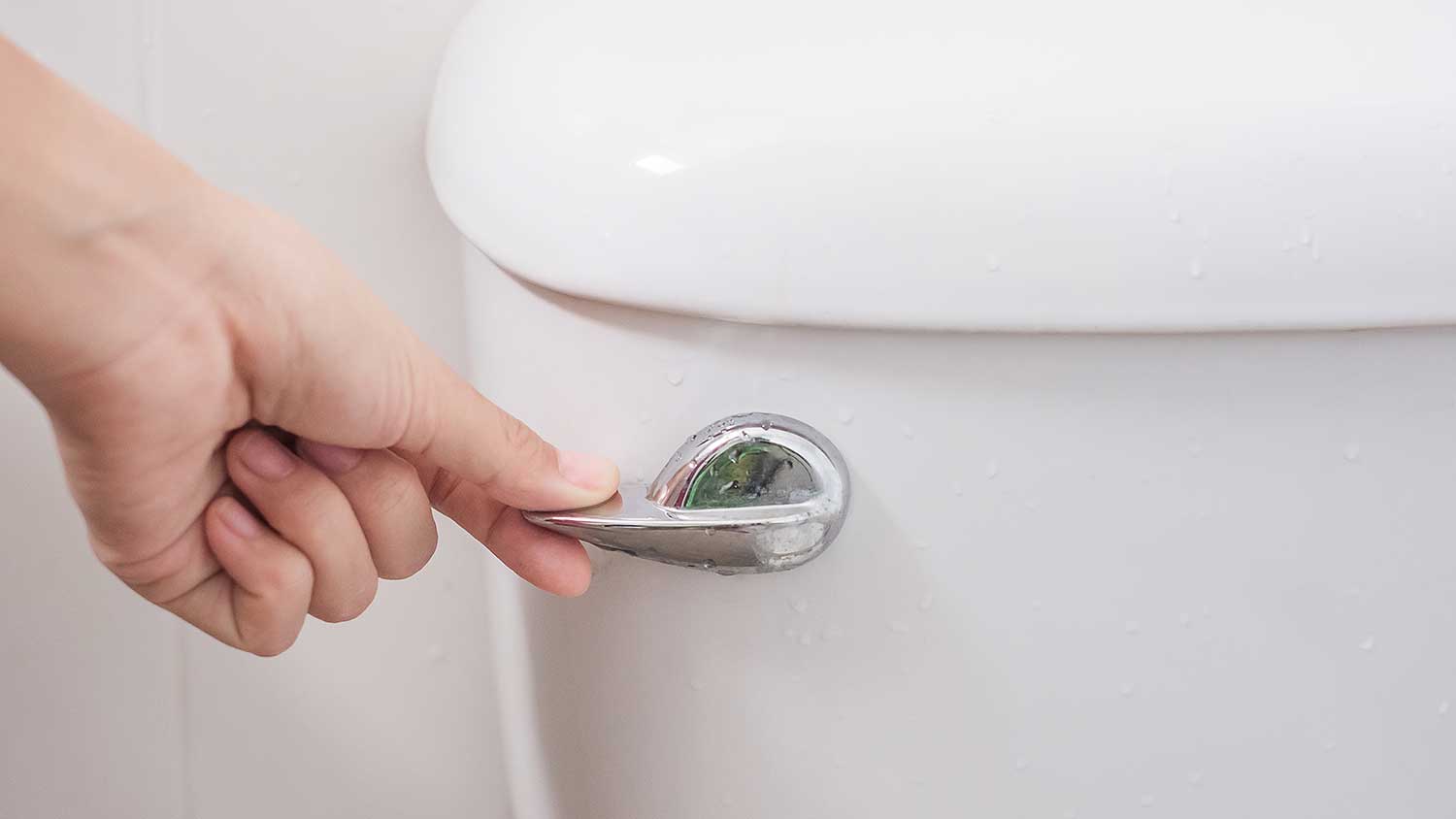 Closeup of a person pushing toilet lever