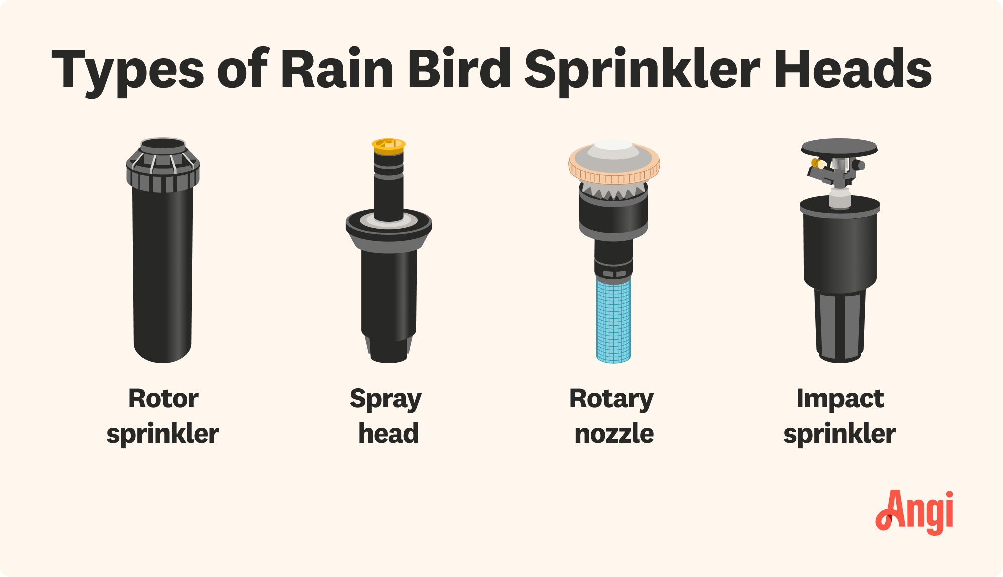 4 Rain Bird sprinkler head types illustrated, including rotor sprinkler, spray head, rotary nozzle, and impact sprinkler