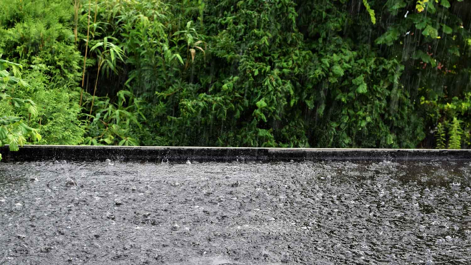 Rain on a flat roof