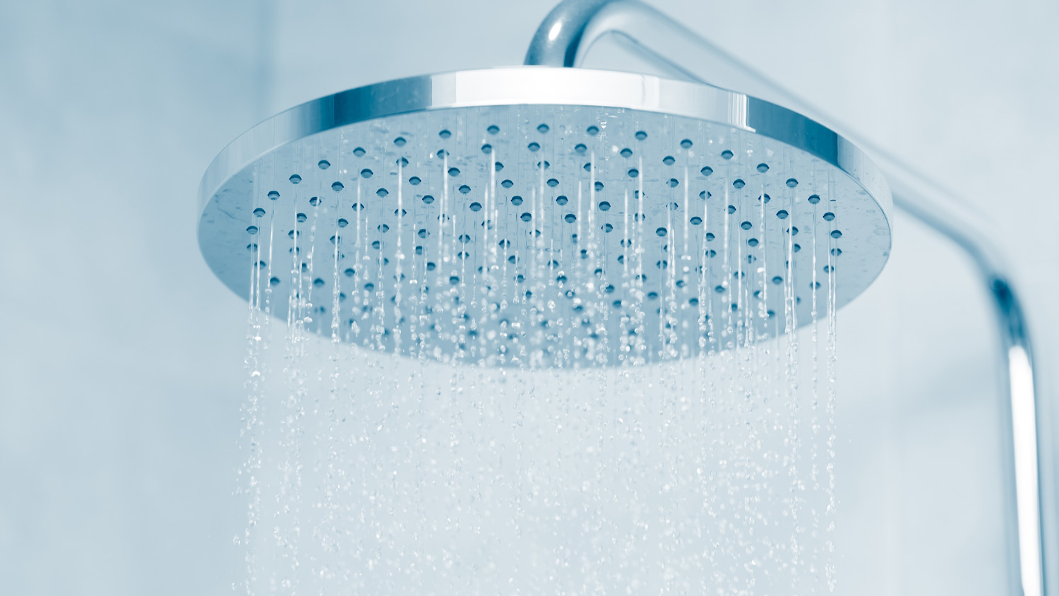 A rain shower head