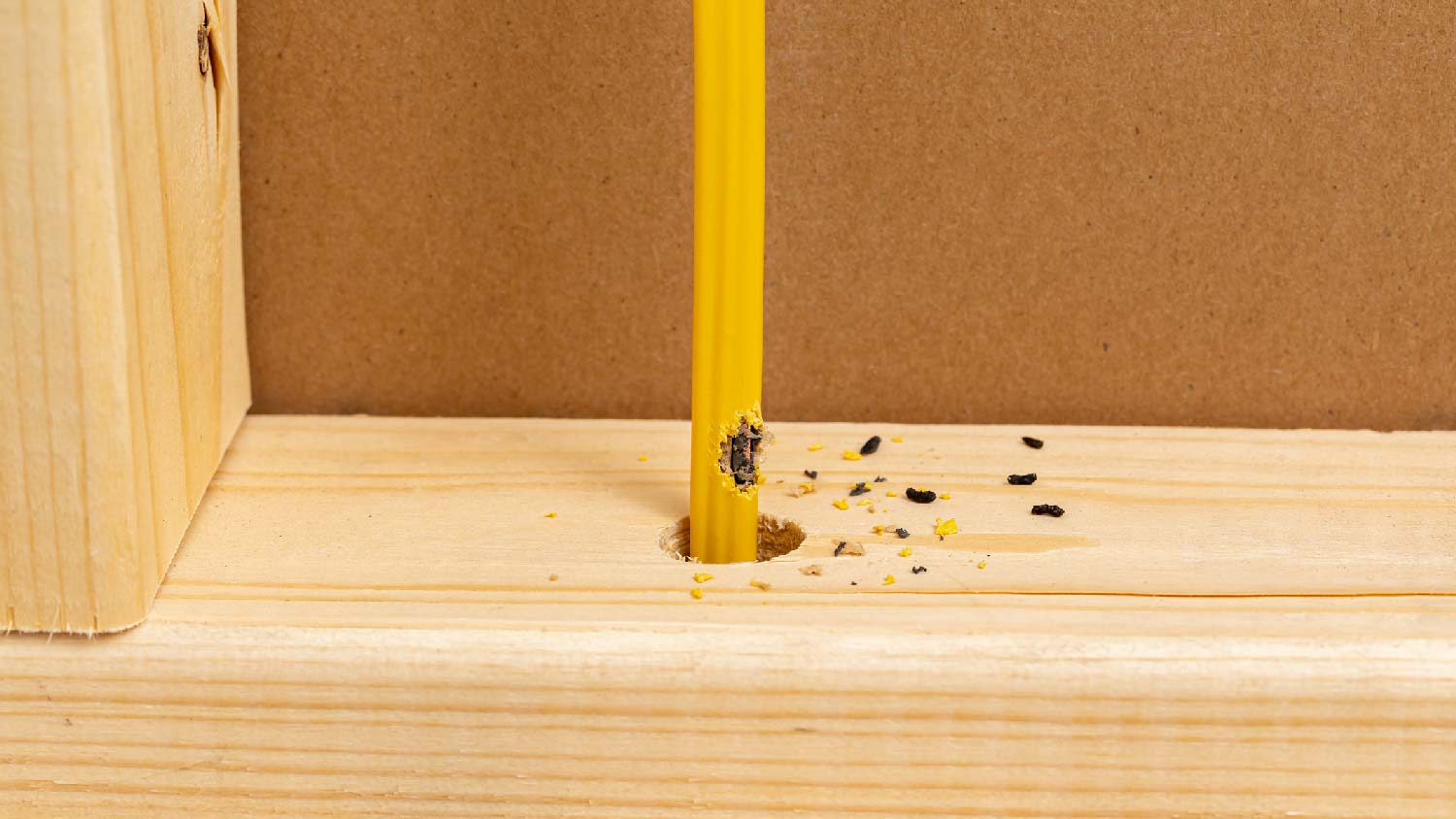 Rat poop next to a chewed electrical wire