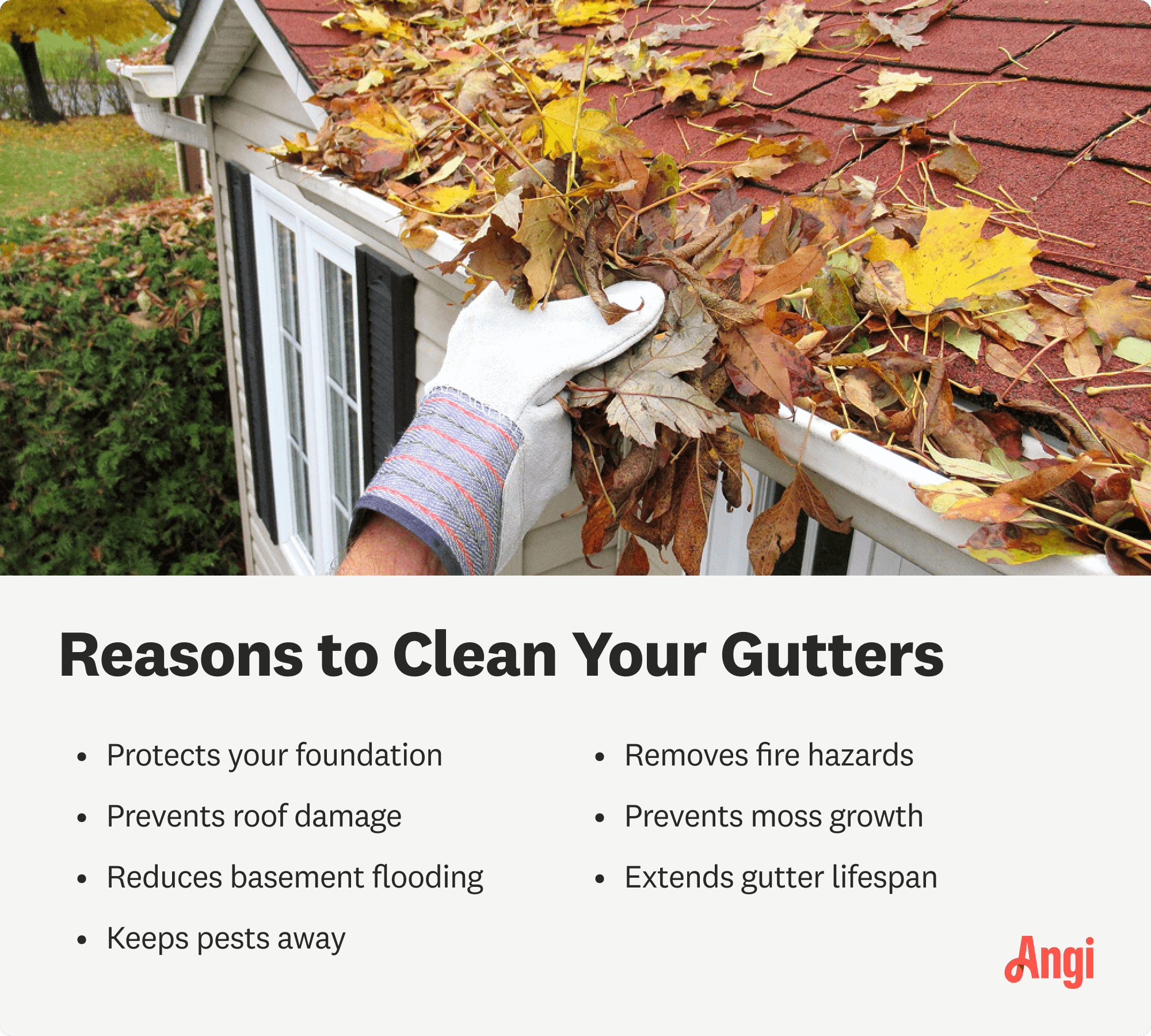 7 reasons to clean your gutters, including keeping pests away and extending gutter lifespan