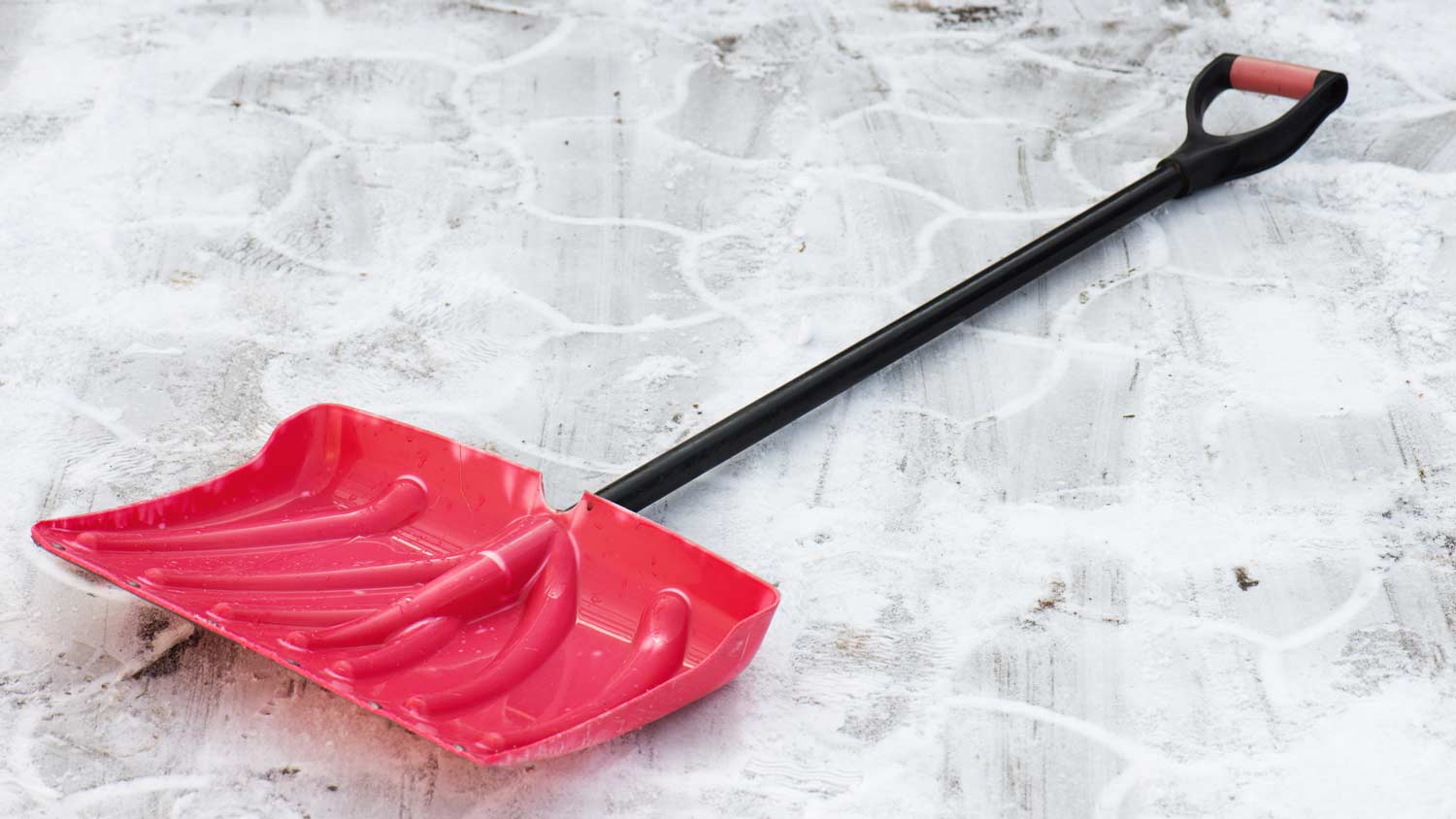 red shovel in the snow