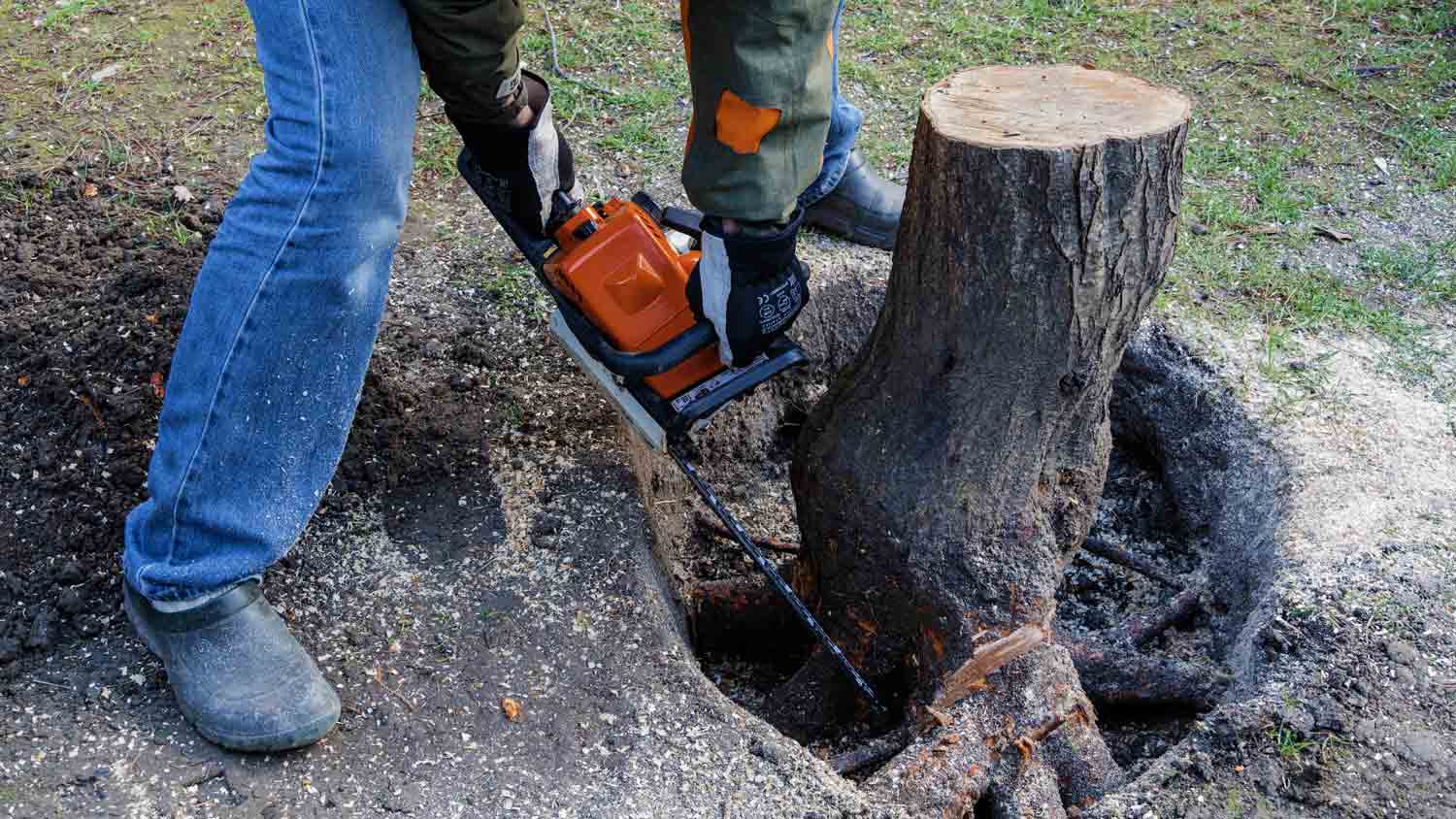 man removing tree stump from yard