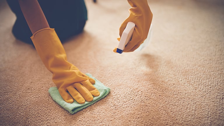 Spraying stain on carpet