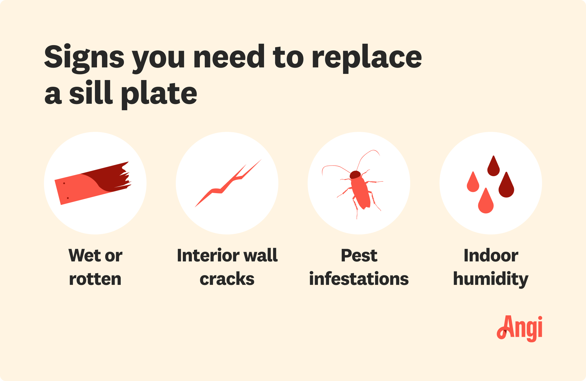 4 signs you need to replace a sill plate, including rotten wood, interior cracks, pest infestations, and indoor humidity