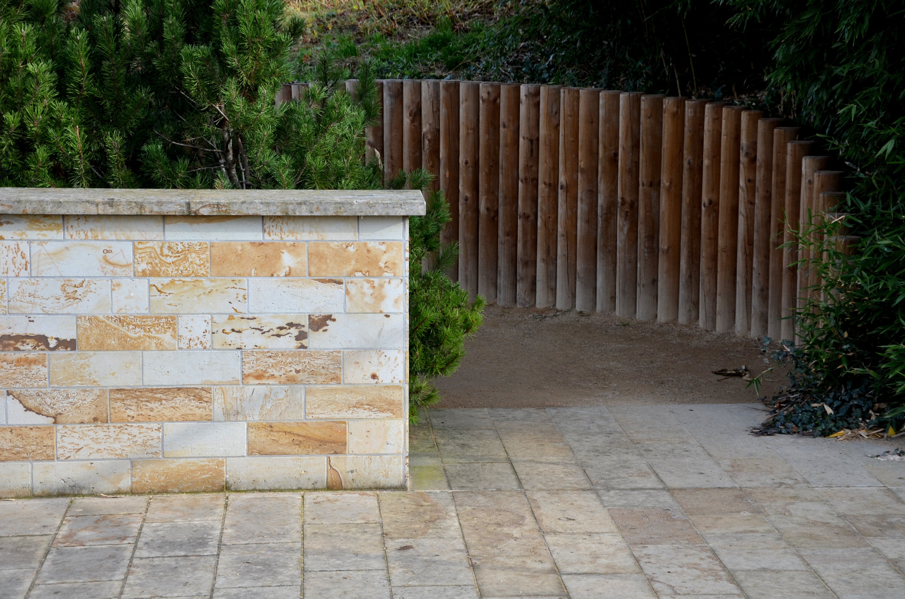 A pathway leading towards a retaining wall built of aspen logs
