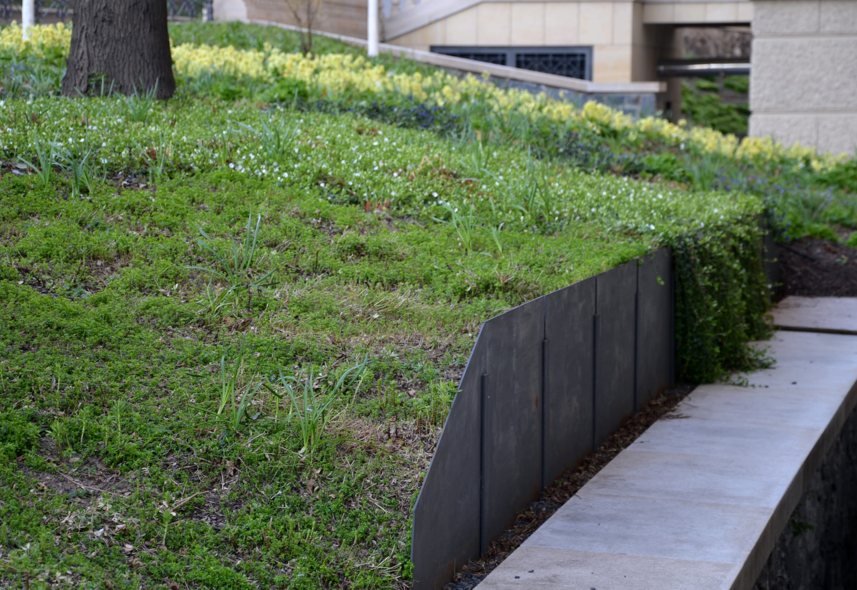 A grassy hill leading down to a thin steel retaining wall